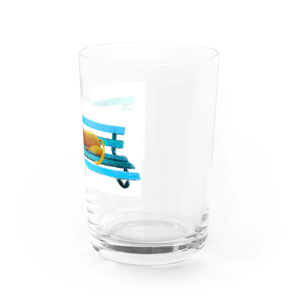 PAW WOW MEOWの「公園にライオンがいます」 Water Glass :right