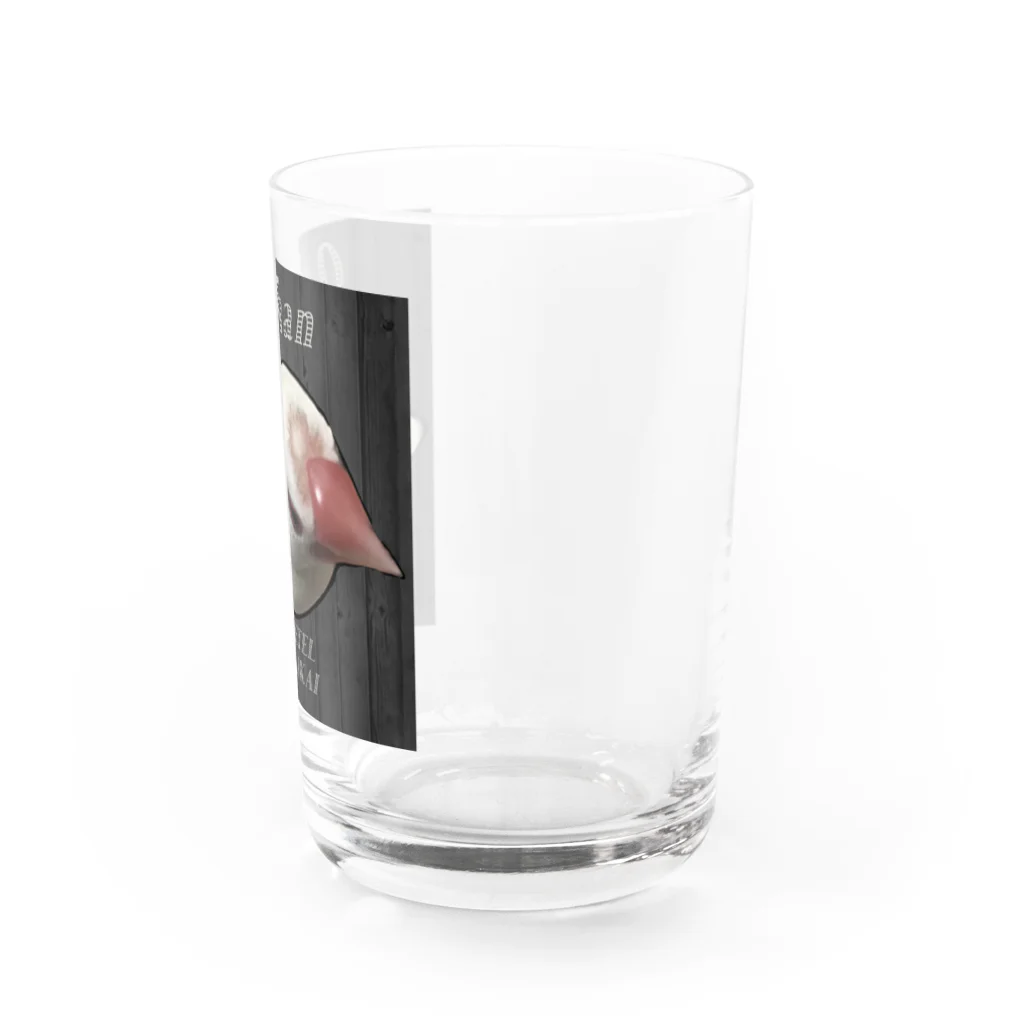 various MTPのうちの白文鳥Qちゃん Water Glass :right