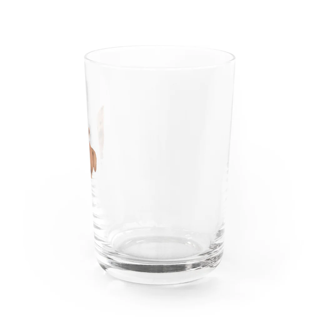 ChapiMugi(チャピむぎ)の柴犬もどき(子犬) Water Glass :right