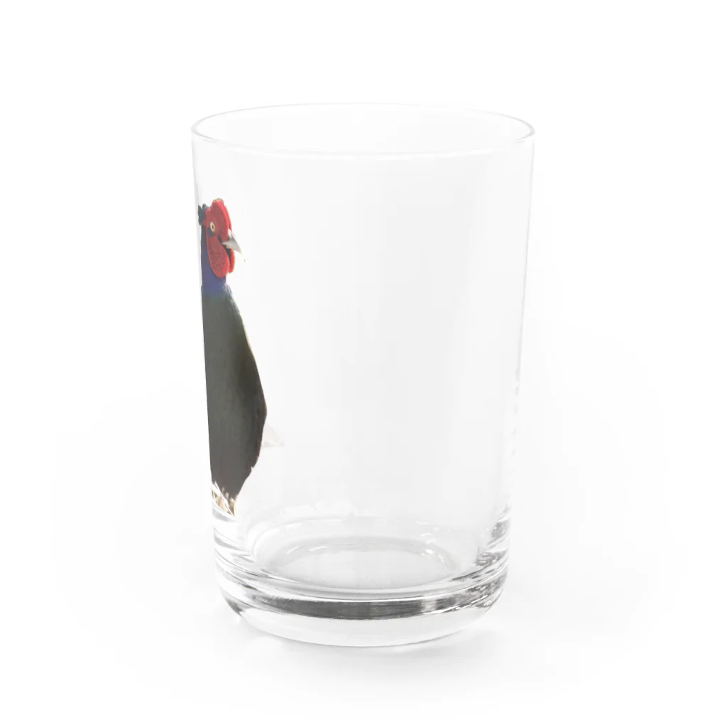 てんねんだいすきＳｈｏｐの雉 Water Glass :right