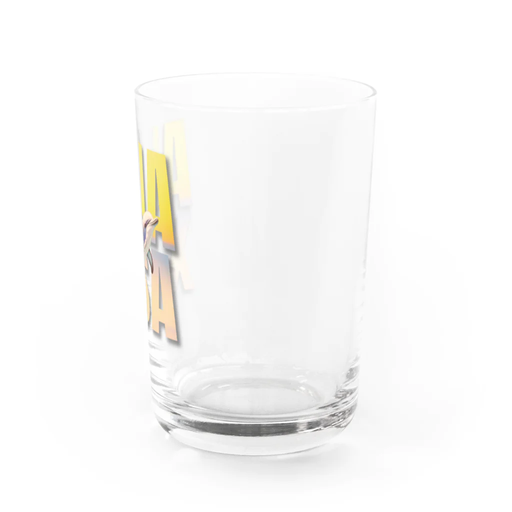 H.webPのAmaxsaイルカウォッチング-nostalgia Water Glass :right