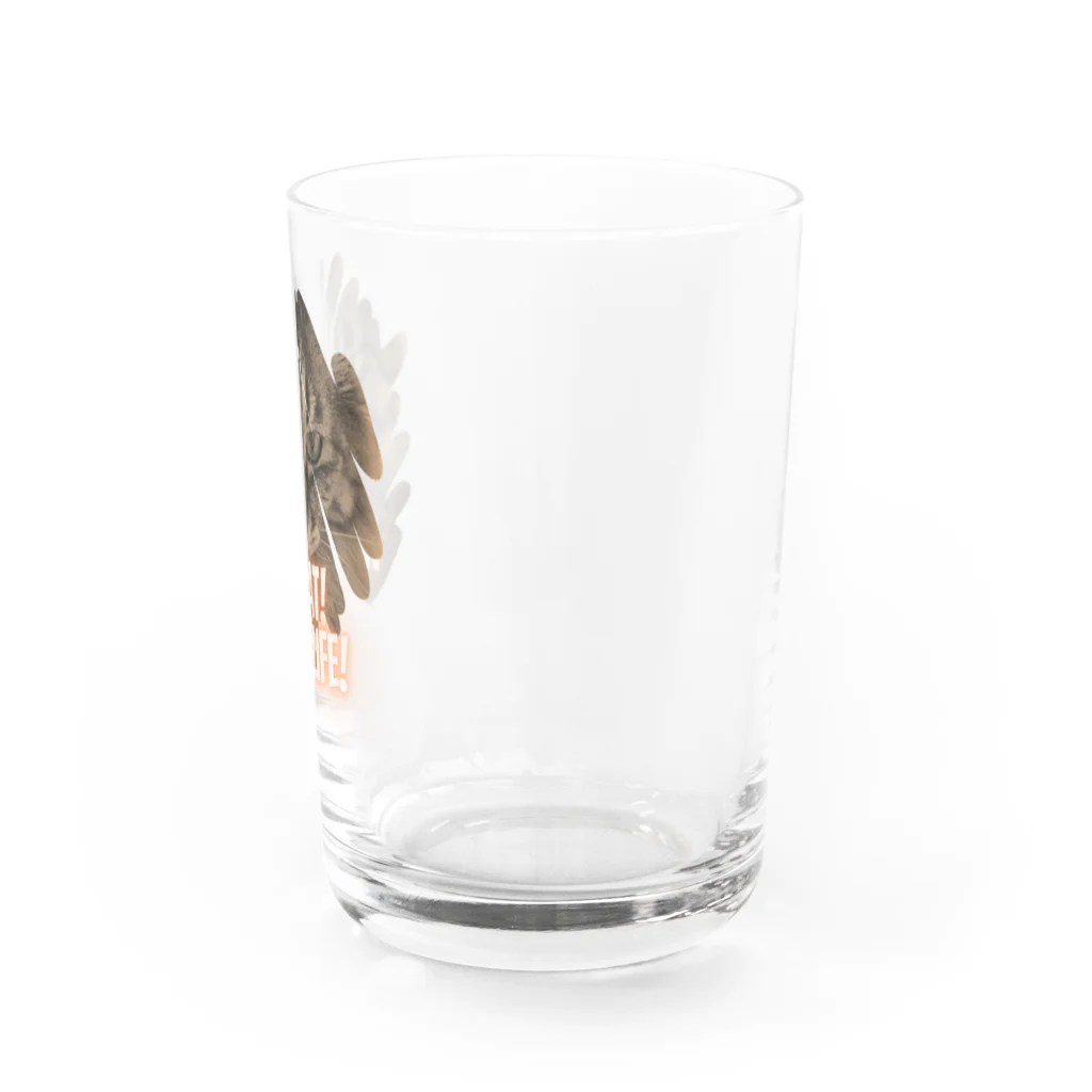 Lyra MoonpawのNO CAT! NO LIFE! Water Glass :right