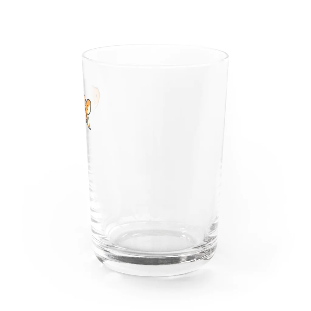 たけきんのさくらにしき Water Glass :right