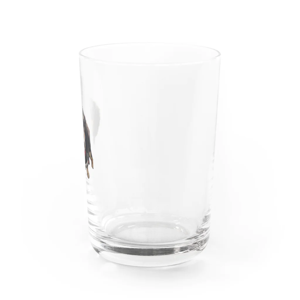 神崎エリカとはやとのグッズのカニンヘンダックスの隼人くん Water Glass :right