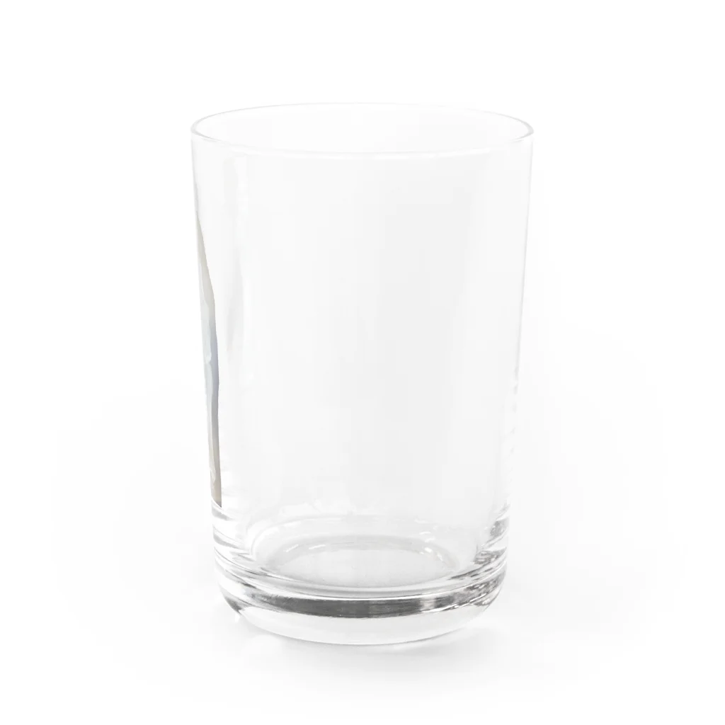 ねこぬこ屋敷Shopの小指骨折グラス2種 Water Glass :right