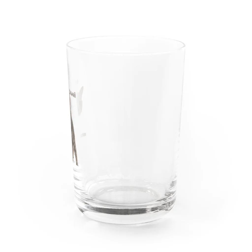 ちびまるゆっけのきなことこま Water Glass :right