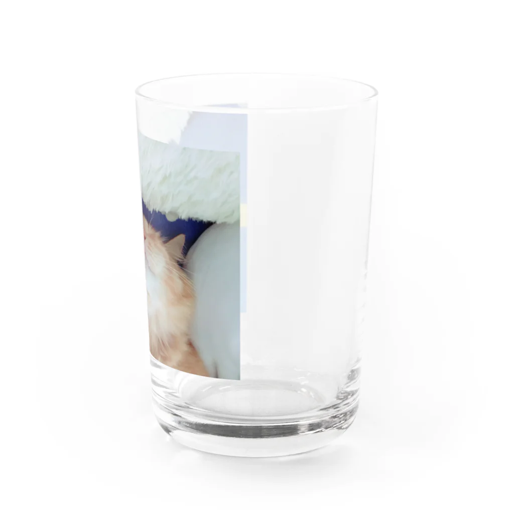 Mizuki・ASIA CATのcoco Water Glass :right