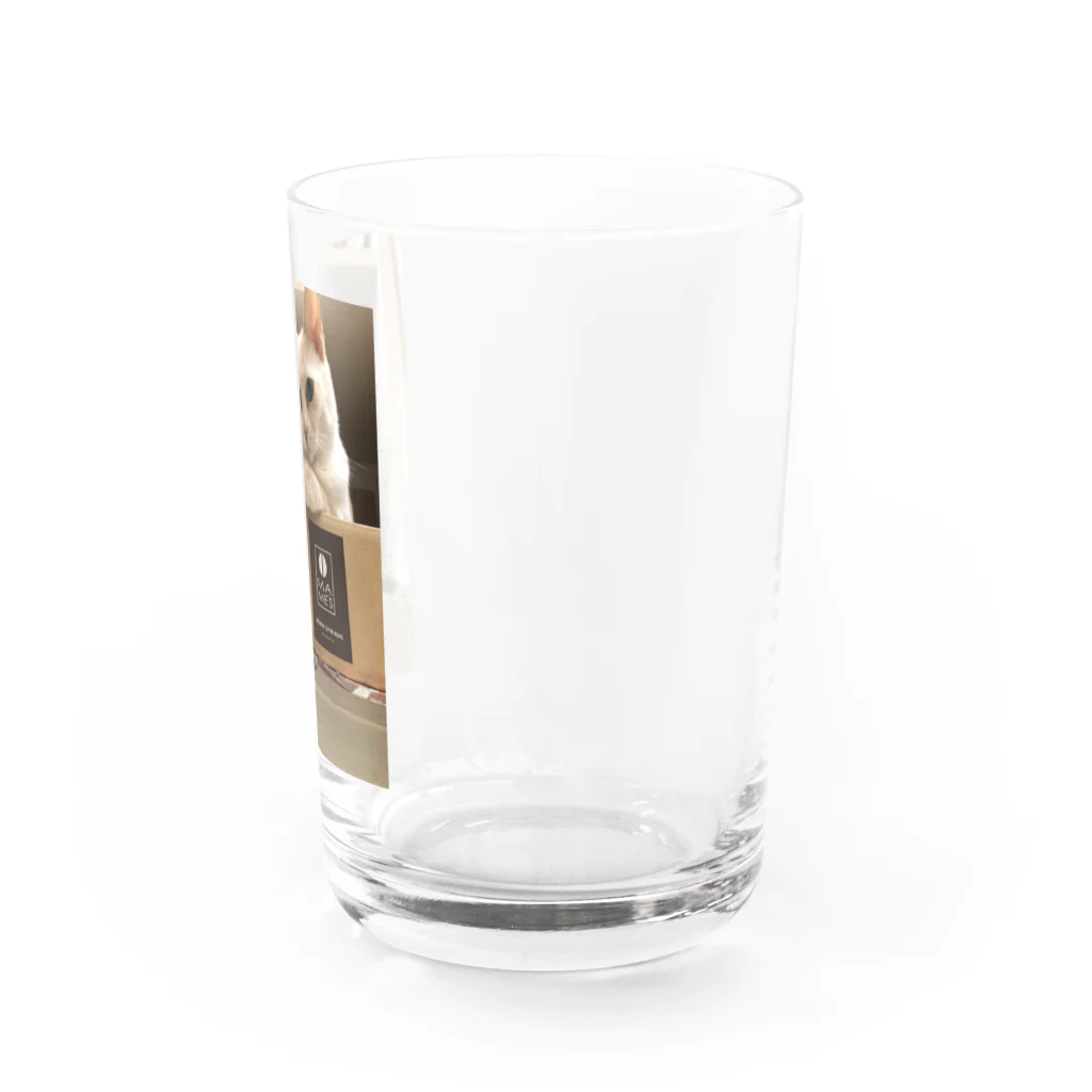 Mizuki・ASIA CATのMILUKU Water Glass :right