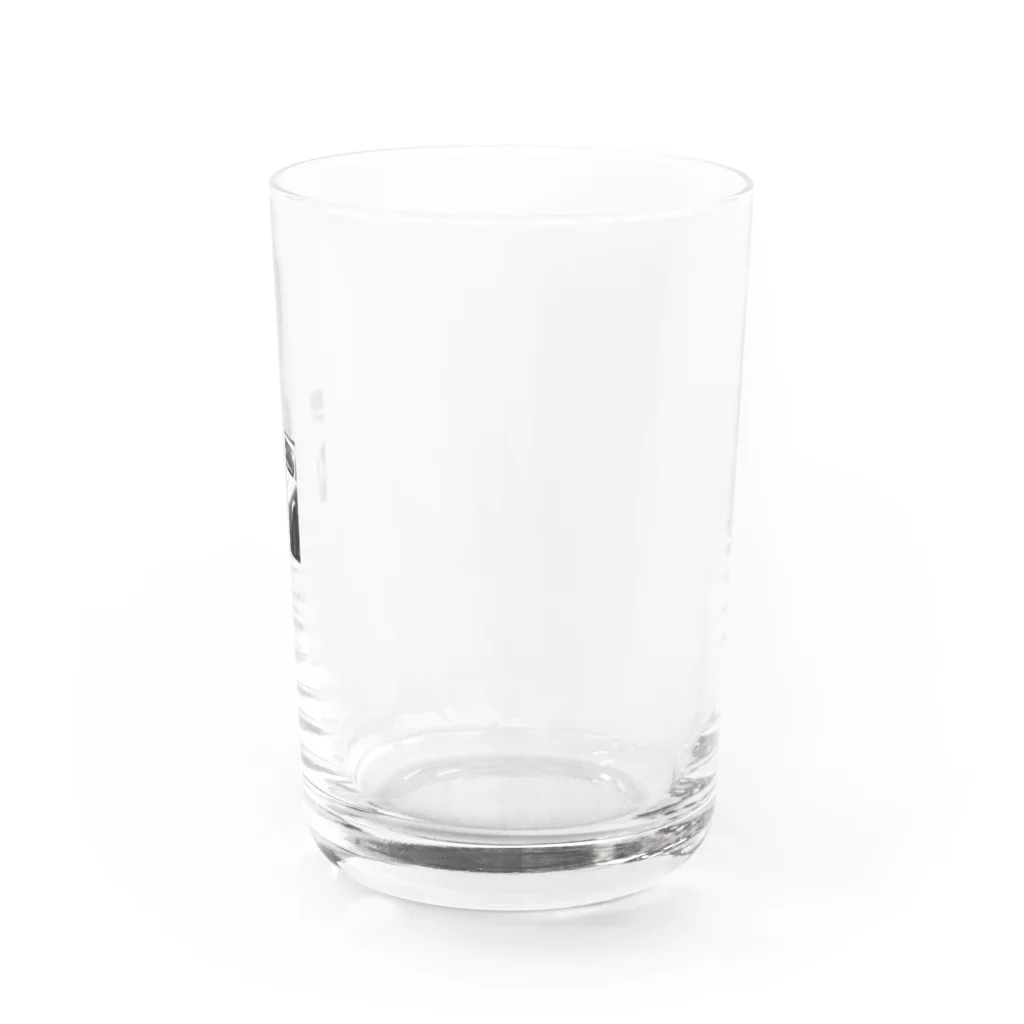 Mizuki・ASIA CATのjaguar Water Glass :right