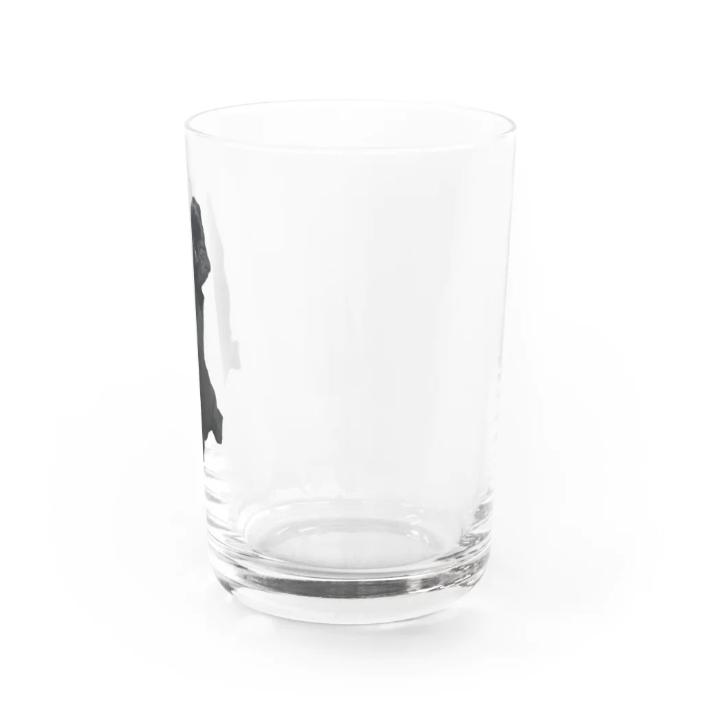 ROKUのふりむき Water Glass :right