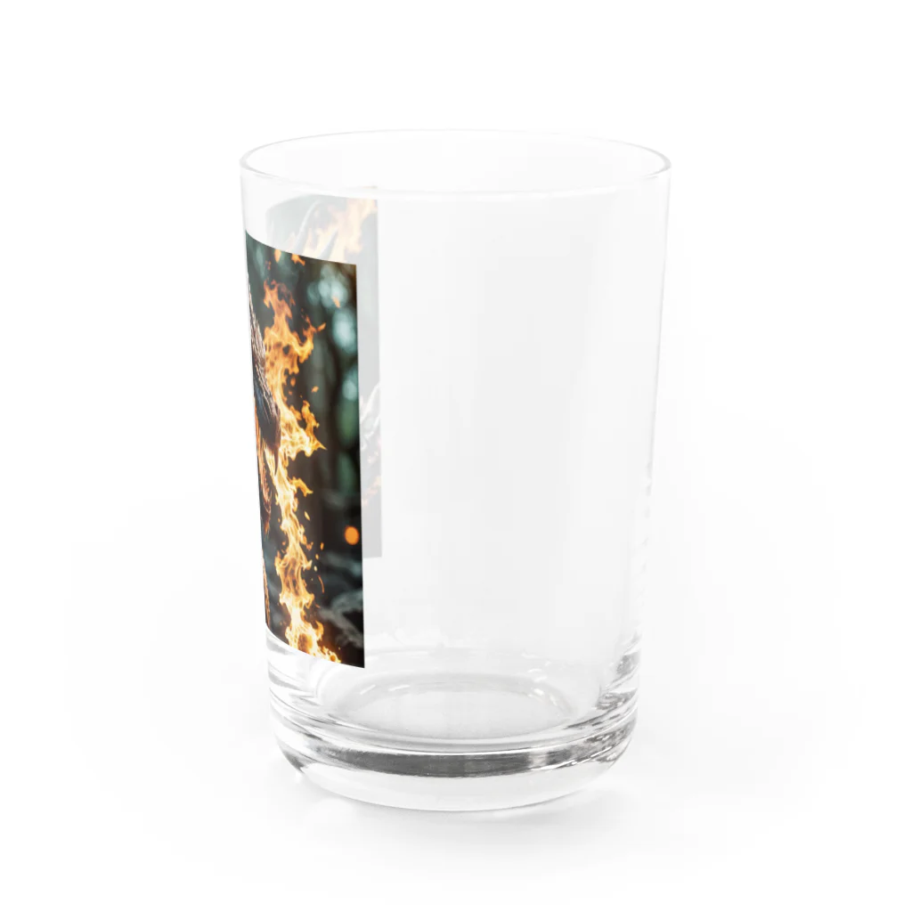 幻想都市の炎のドラゴン Water Glass :right