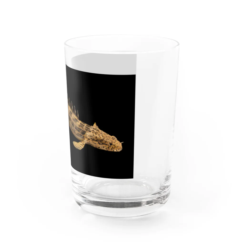 stockboxのポリプテルス グッズ Water Glass :right