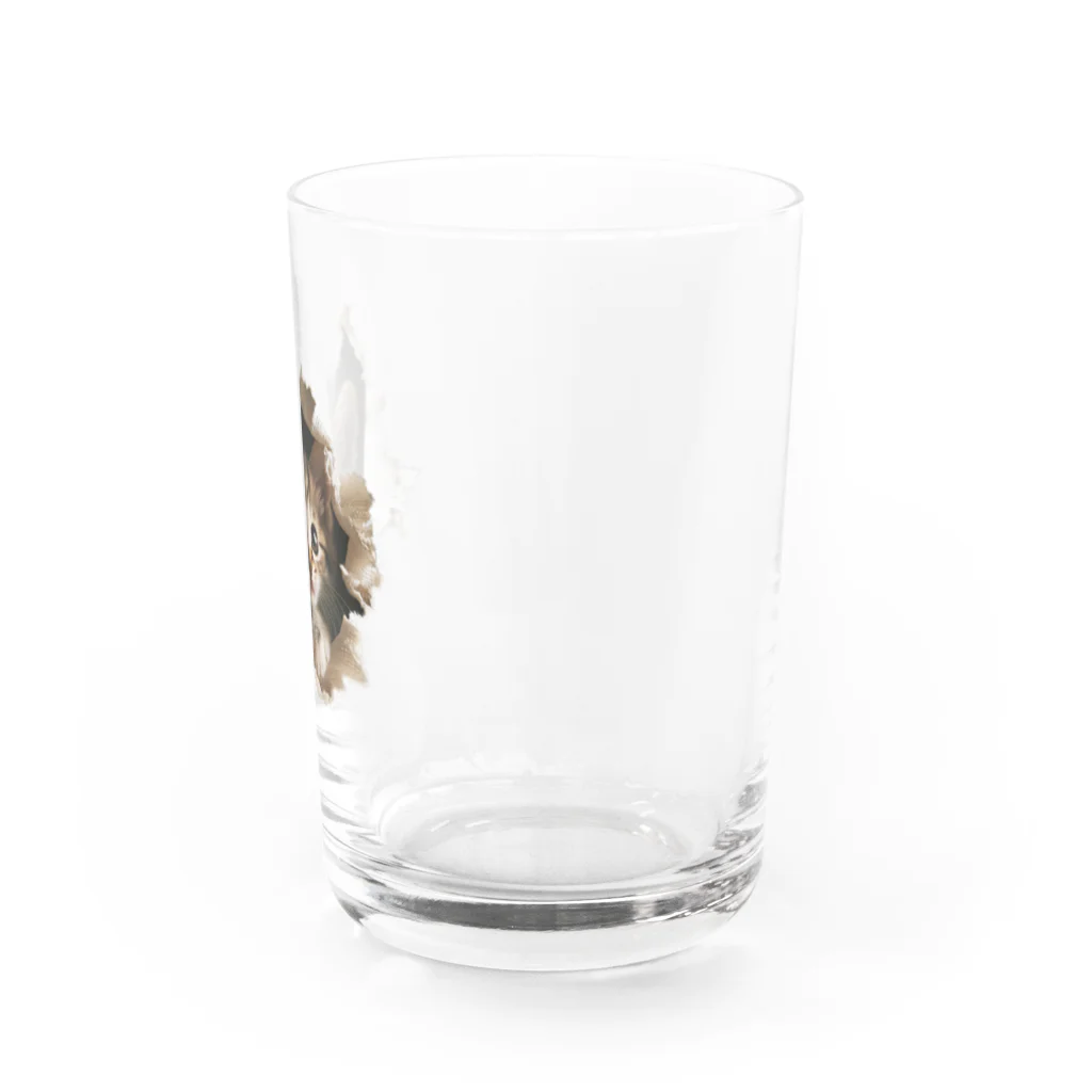 oniyanma64の子猫外を見る Water Glass :right