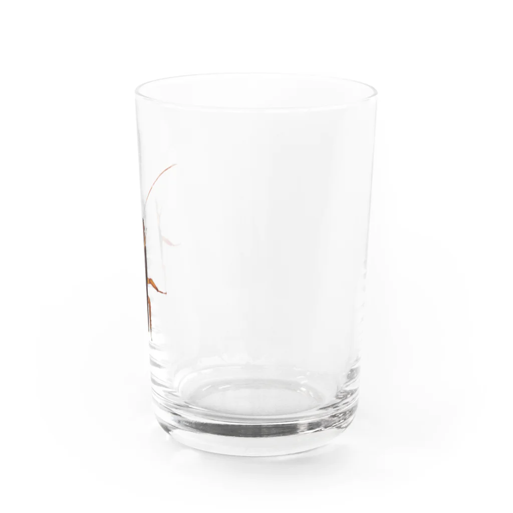 キモ➕かわ➕リアルのリアル絵のゴキブリ Water Glass :right