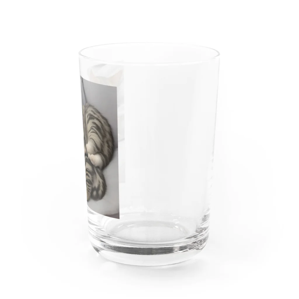 恥ずかしがり屋のねこショップの 寝ているかわいいこ猫 Water Glass :right