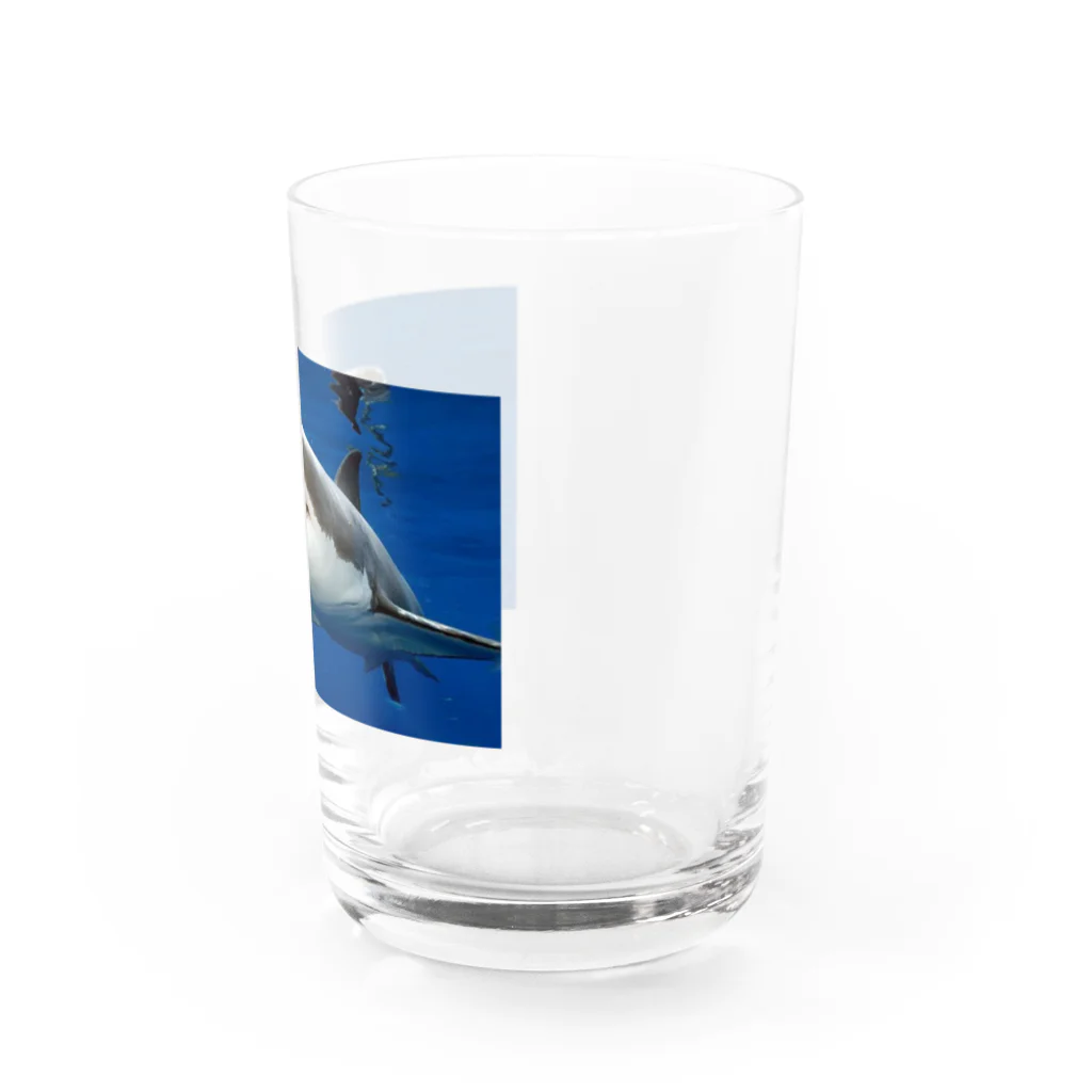 C59の海のキングホウジロサメが登場 Water Glass :right