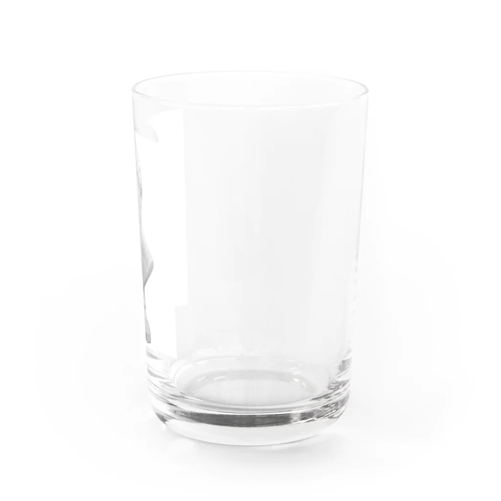 stripeのアグリッパさん Water Glass :right