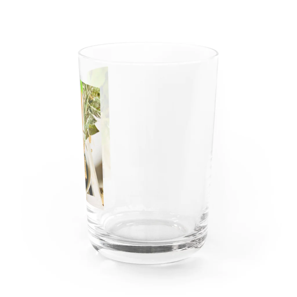 Mizuki・ASIA CATのコルク集め Water Glass :right