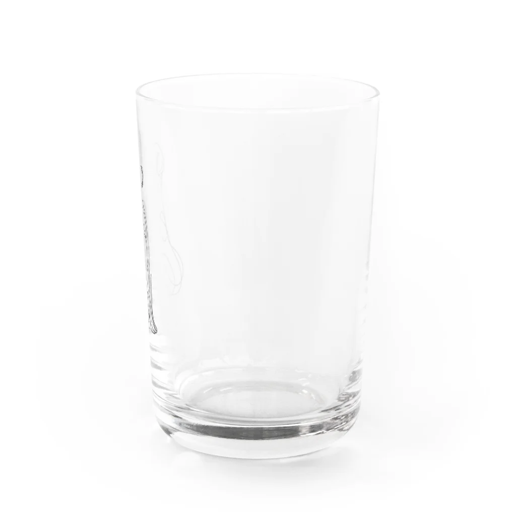 Bebezoのミニチュアダックス Water Glass :right