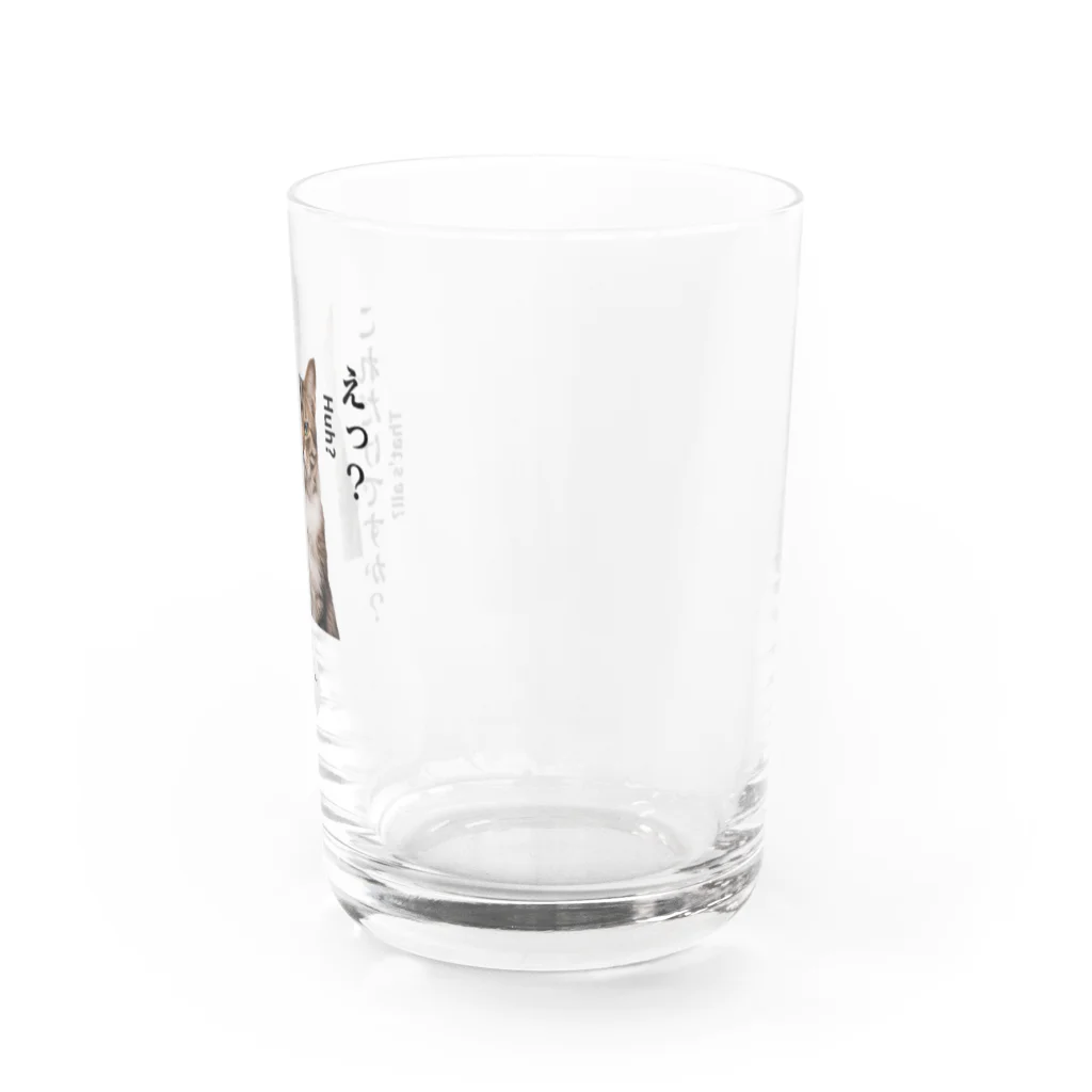 catnip factoryの不満顔の猫 Water Glass :right