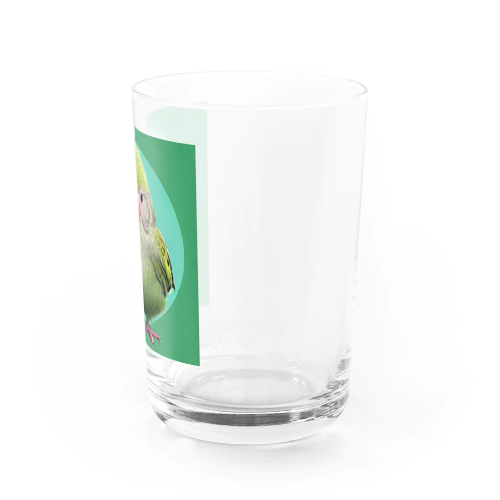 ３の字屋のカカポグッズ Water Glass :right