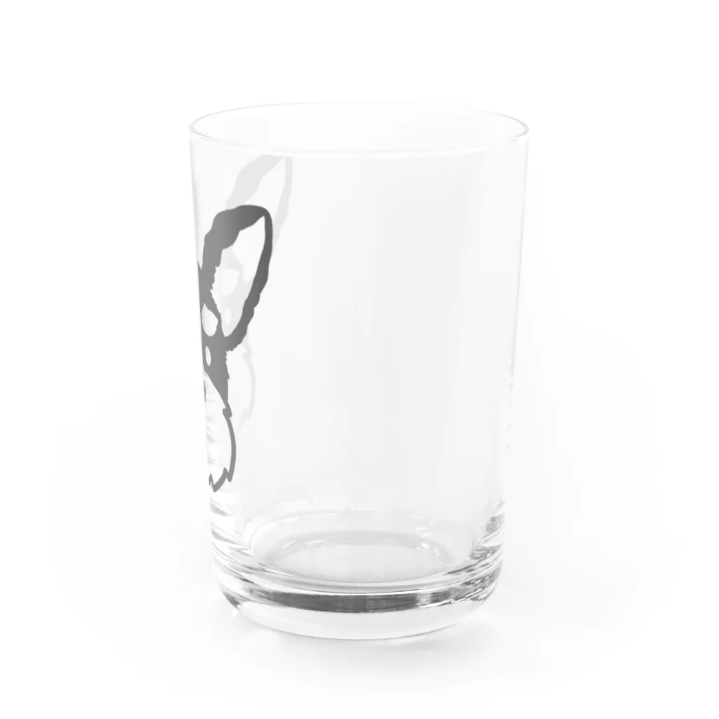 CODILHA。の立ち耳シュナさん Water Glass :right