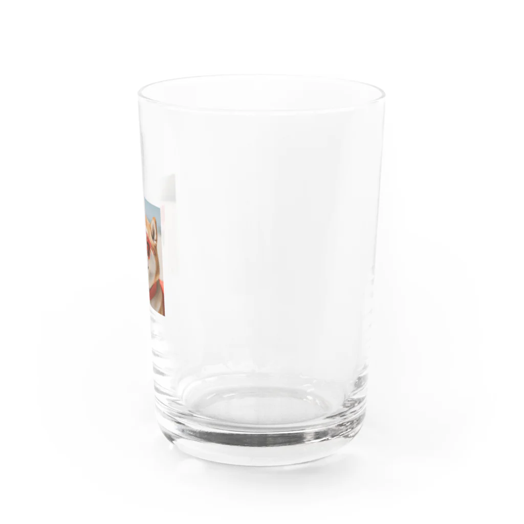 naftethの柴犬のとらさん Water Glass :right