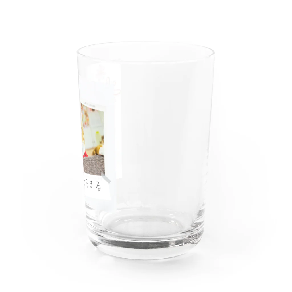 とら(=^ェ^=)ちゃちゃのとらまる Water Glass :right