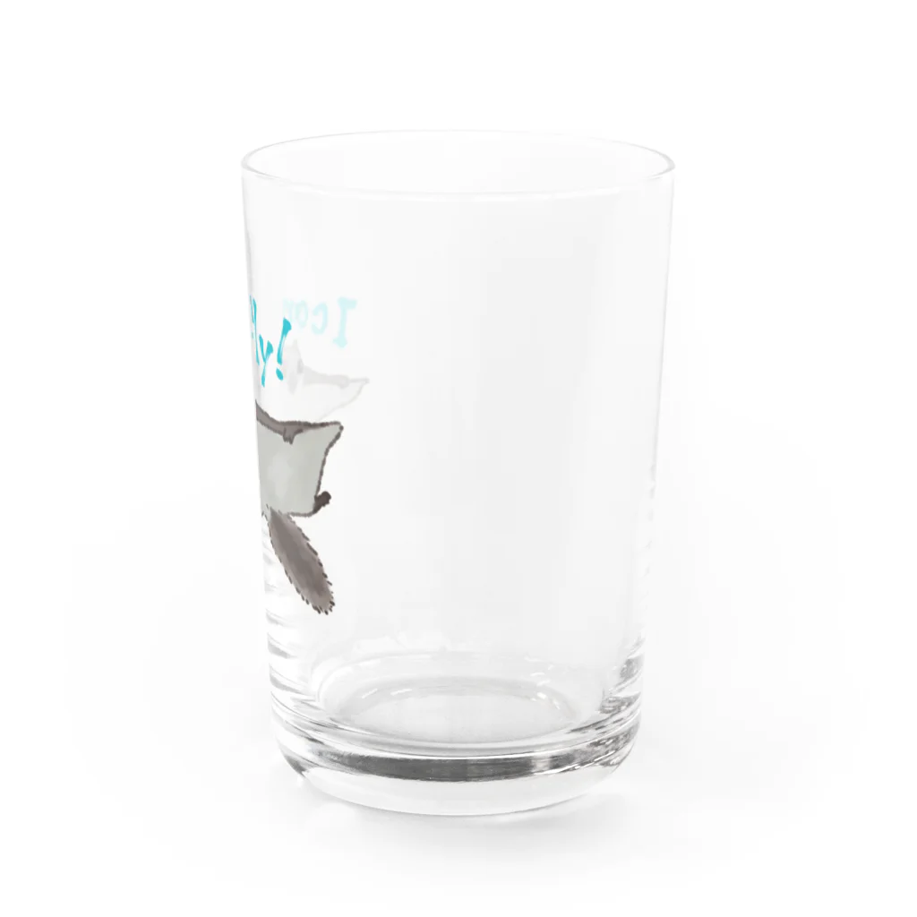 ゆるい生き物イラストグッズの飛んでるエゾモモンガ Water Glass :right