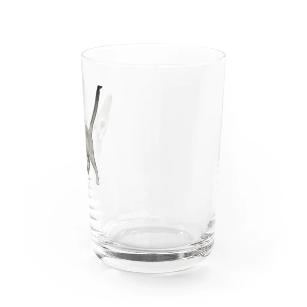 chihiroadsterのシンガプーラ Water Glass :right