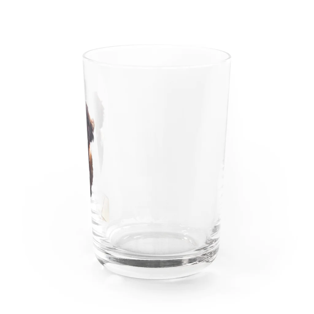 ライダーズの可愛いワンちゃんグッズ Water Glass :right