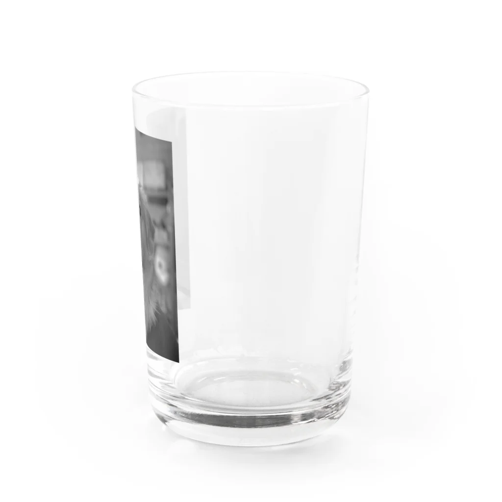 cyobi_loveのチョビ（絵画っぽい） Water Glass :right
