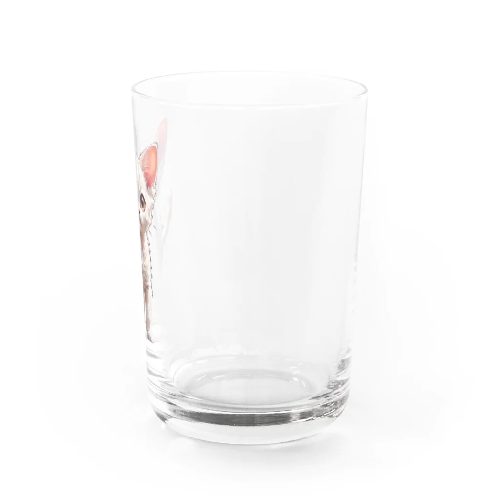 Kikimimiネコのkikimimiネコ（シロネコ） Water Glass :right