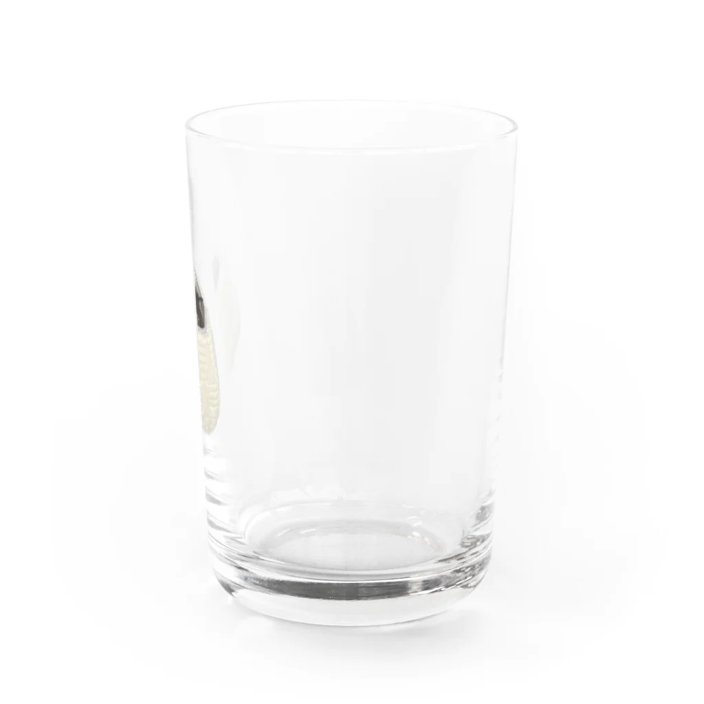 たぬきねこドミの巣篭もりver たぬきねこドミ  Water Glass :right