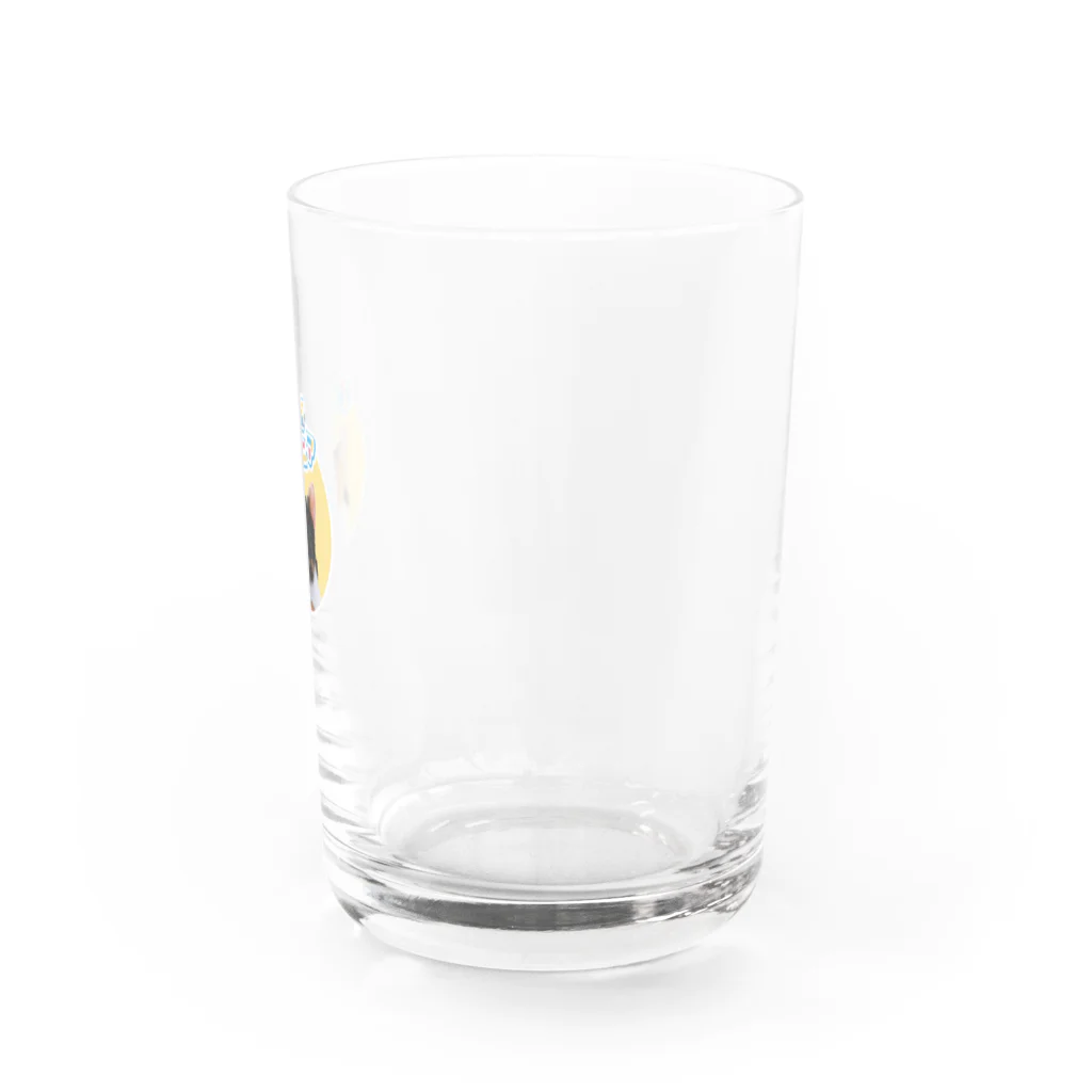 .nekoの後頭部マニア Water Glass :right