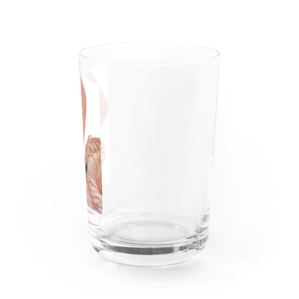 Shiho工房のフラミンゴ Water Glass :right