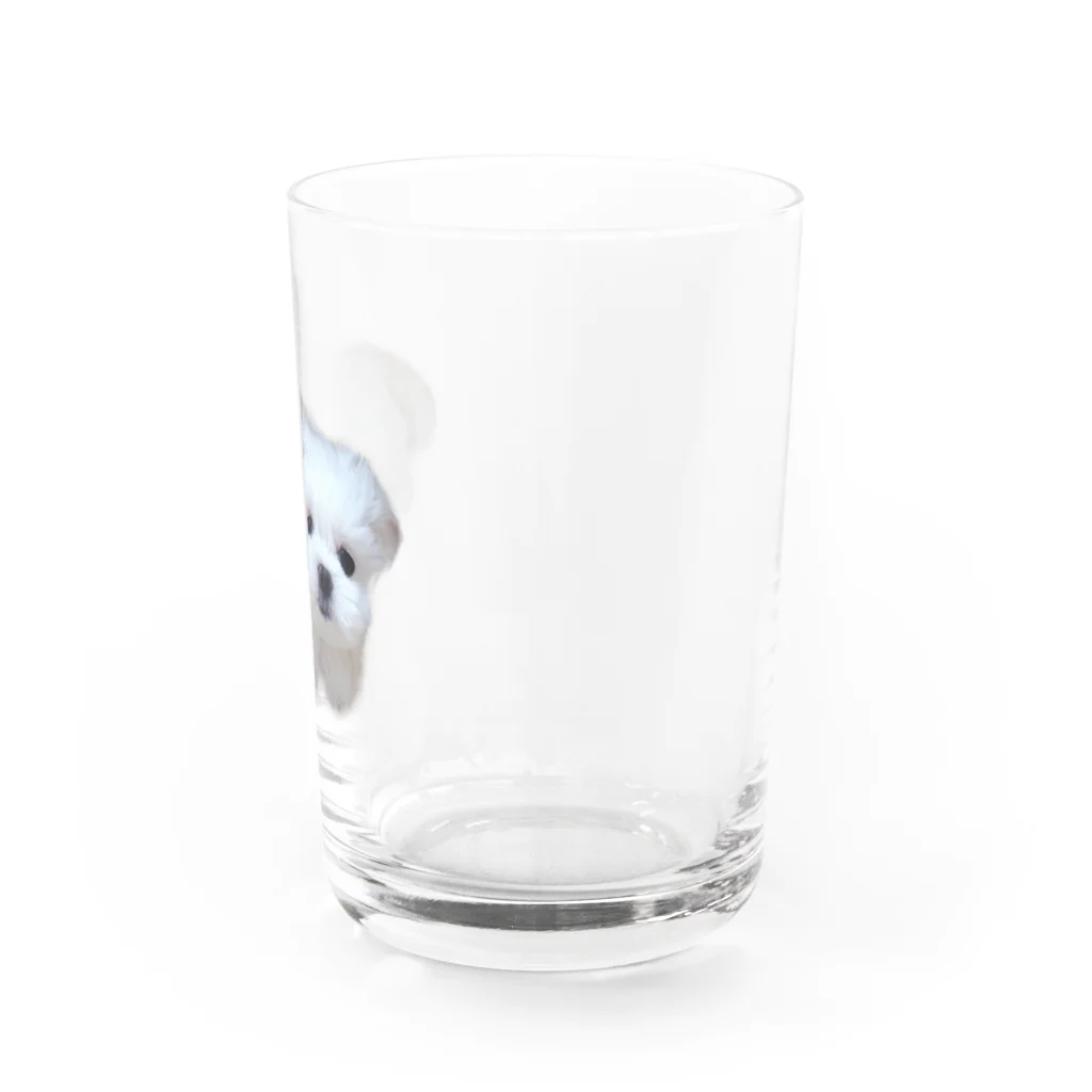 のののののミルクが家族になった日🐶 Water Glass :right