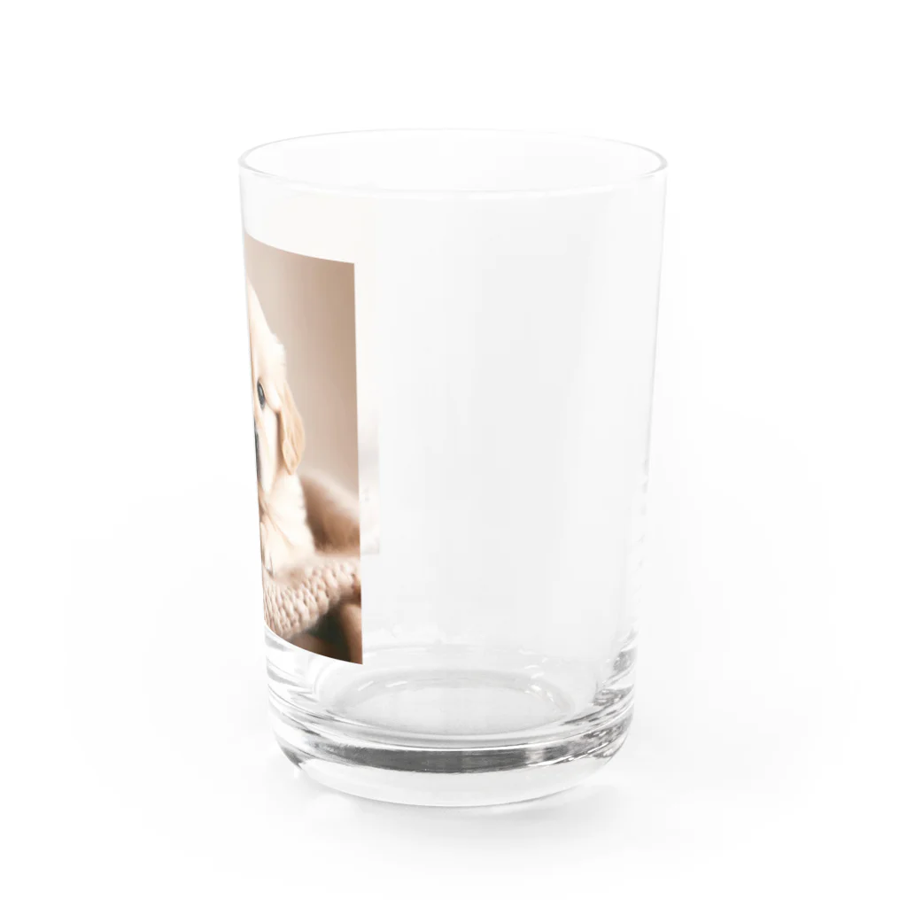 -joy-の可愛すぎるゴールデンレトリバー Water Glass :right