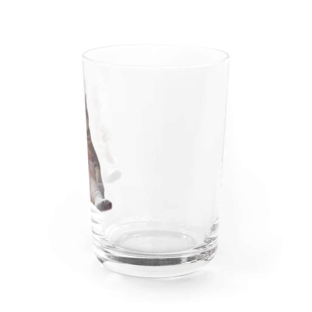 zatto_00のダイエット中の猫 Water Glass :right