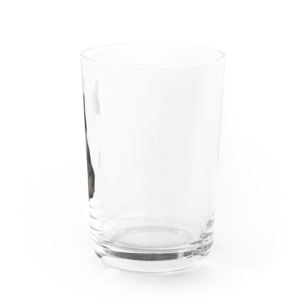 どなえみの姫の可愛いみみちゃん Water Glass :right