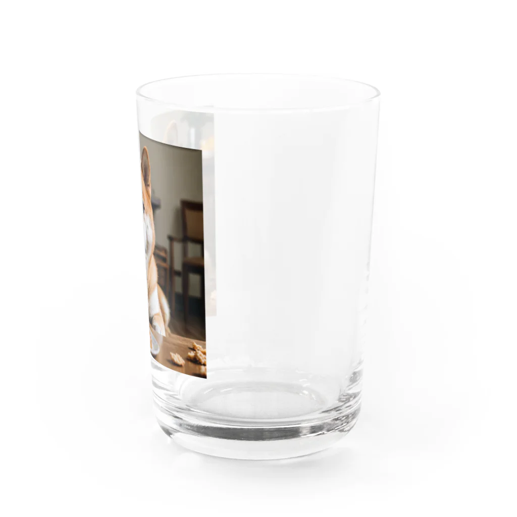 jaguar3の餌に手が出そうな柴犬 Water Glass :right