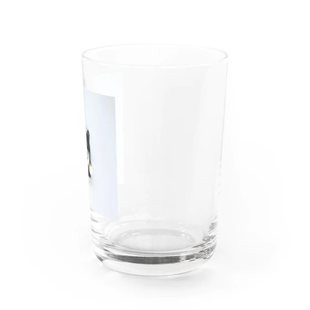 黒柴むさし君のSimpleむさし君 Water Glass :right