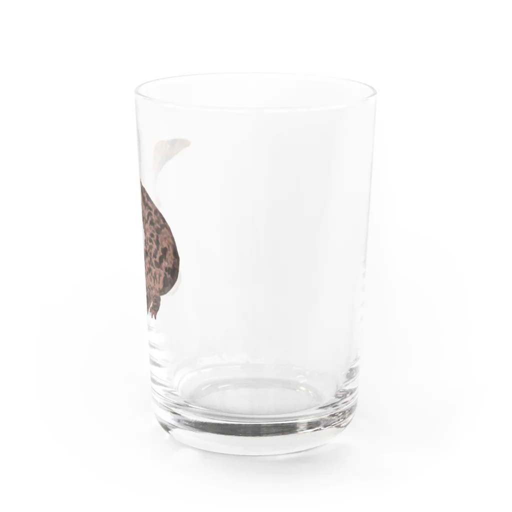 puikkoのオオサンショウウオ Water Glass :right