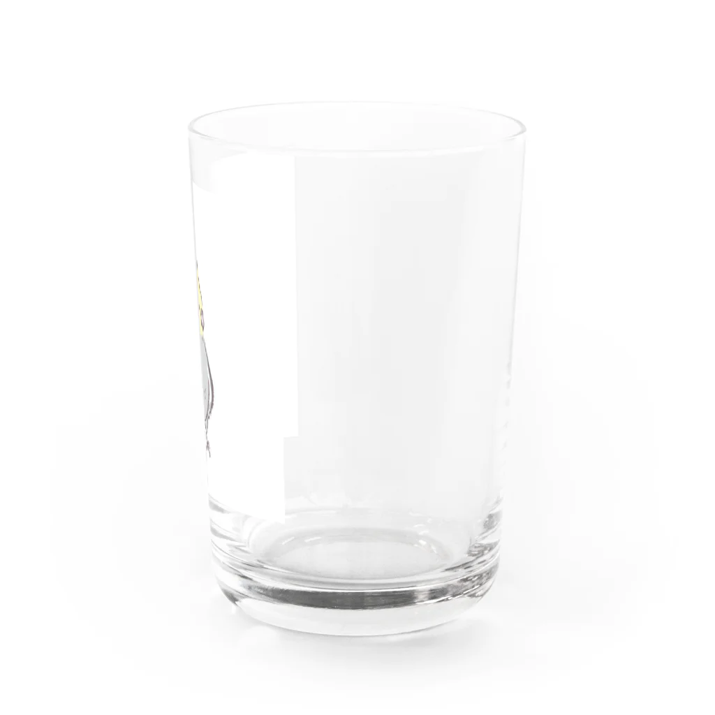 paguyoのオカメインコRocky Water Glass :right