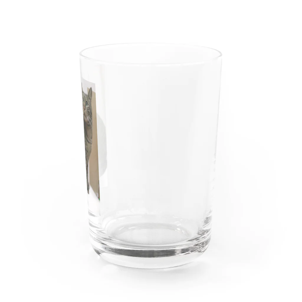 ポチオのトイレの上のポチオ Water Glass :right