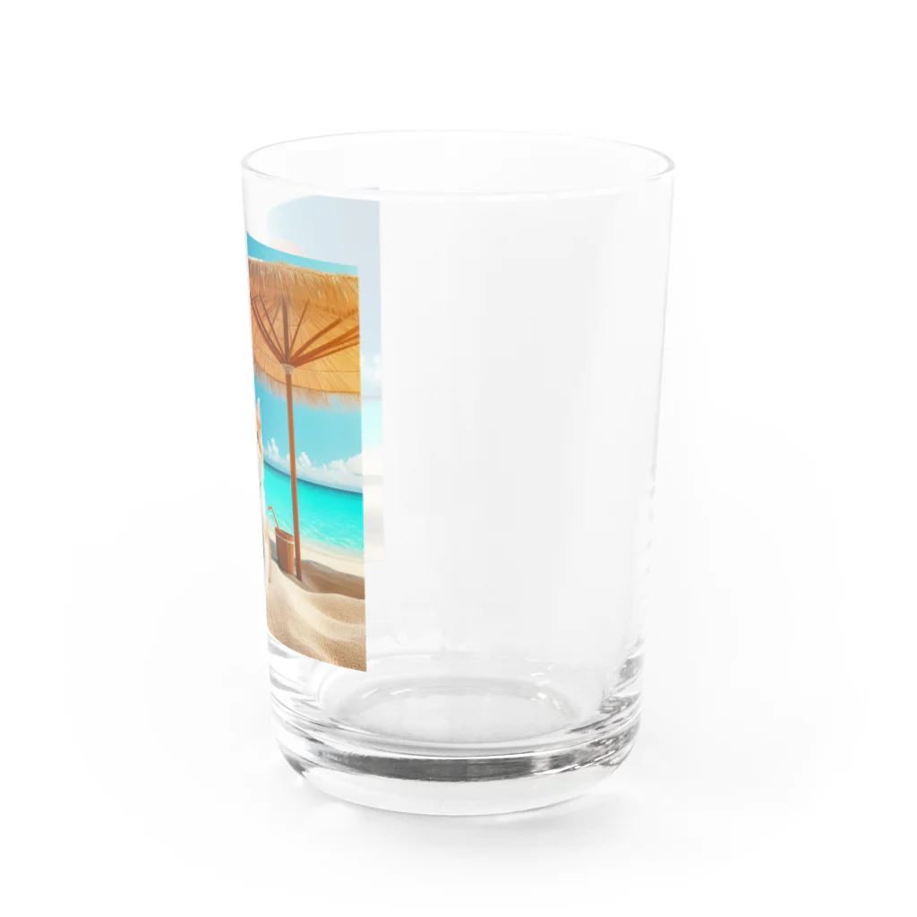 猫と紡ぐ物語の南国の海で一時のバカンスを楽しむ Water Glass :right