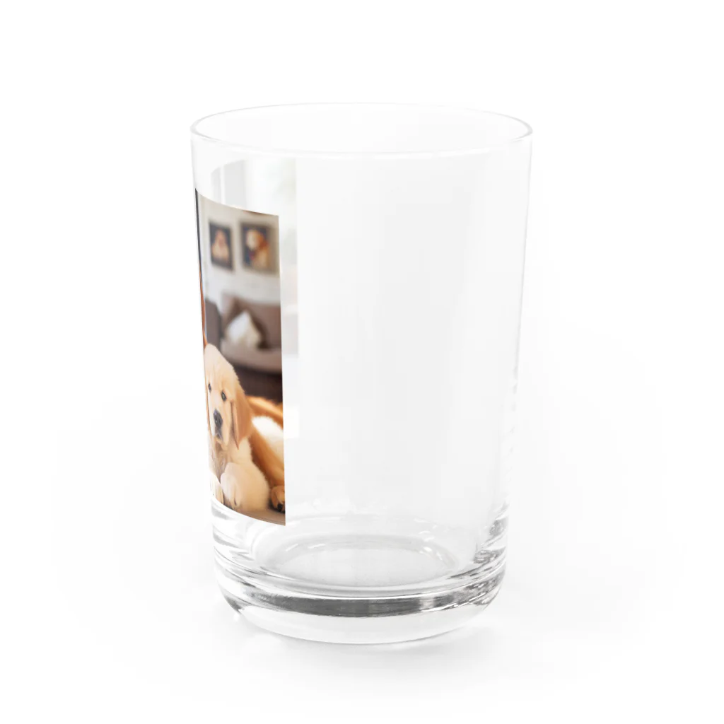 KAWAKamiのワンだふるゴールデン・セレクション Water Glass :right