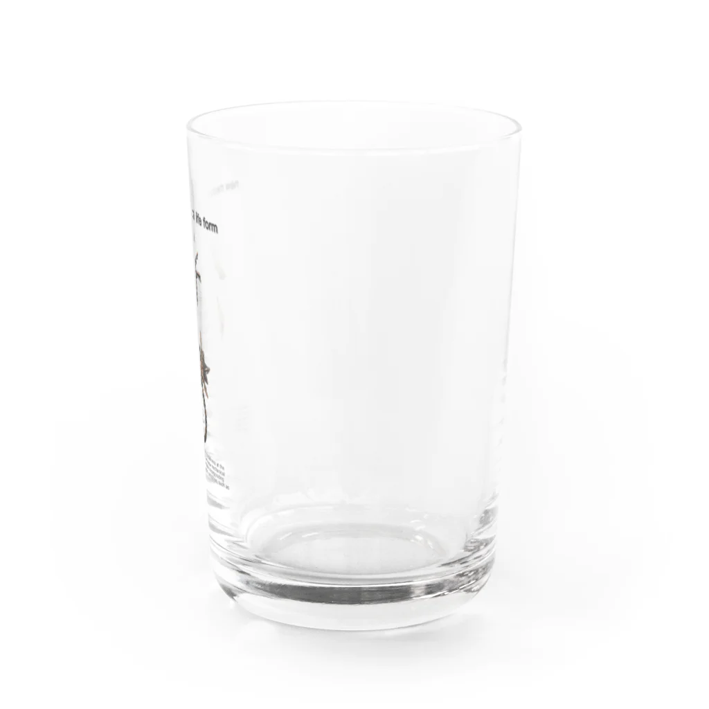 みぃ@新械生物の新械生物 Water Glass :right