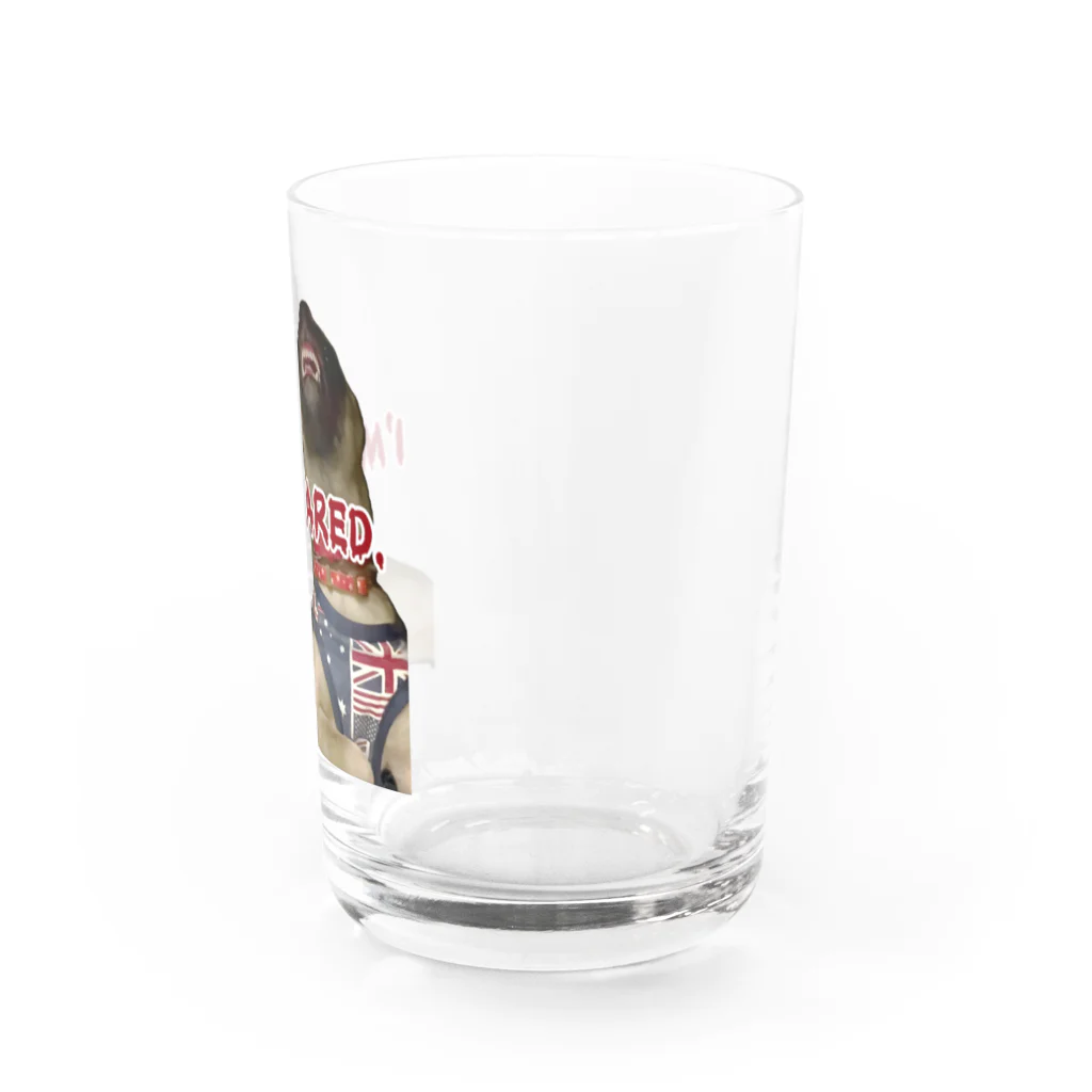 毛玉のおうちチャリティーグッズ販売suzuri部のI'M SCARED. Water Glass :right