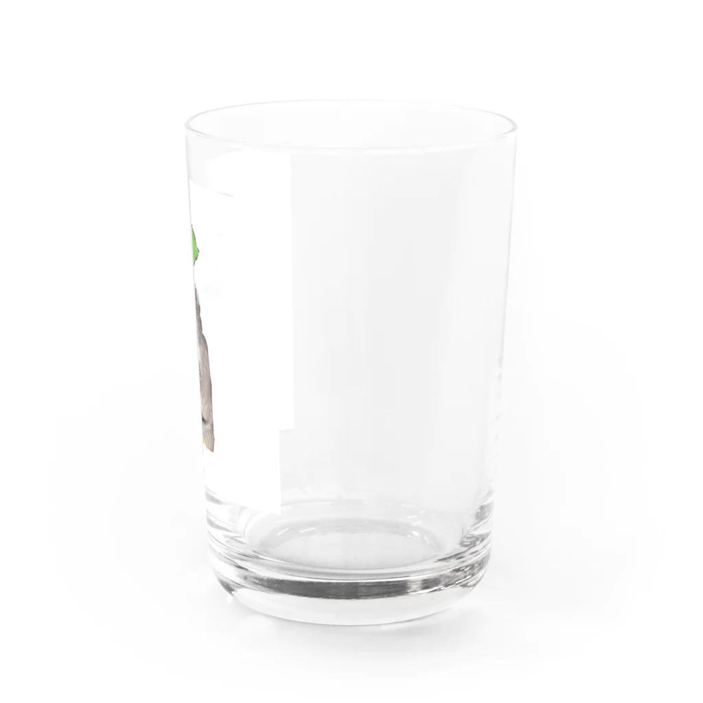 2匹の愉快なハム達のおうか Water Glass :right